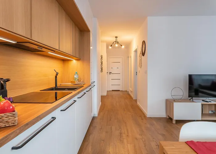 Apartmán Pure Premium - Free Parking & Ac Vratislav